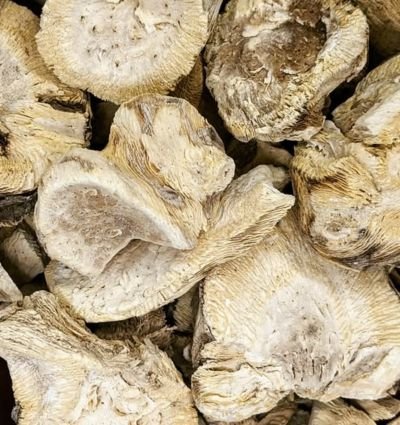 Kava Kava Chips